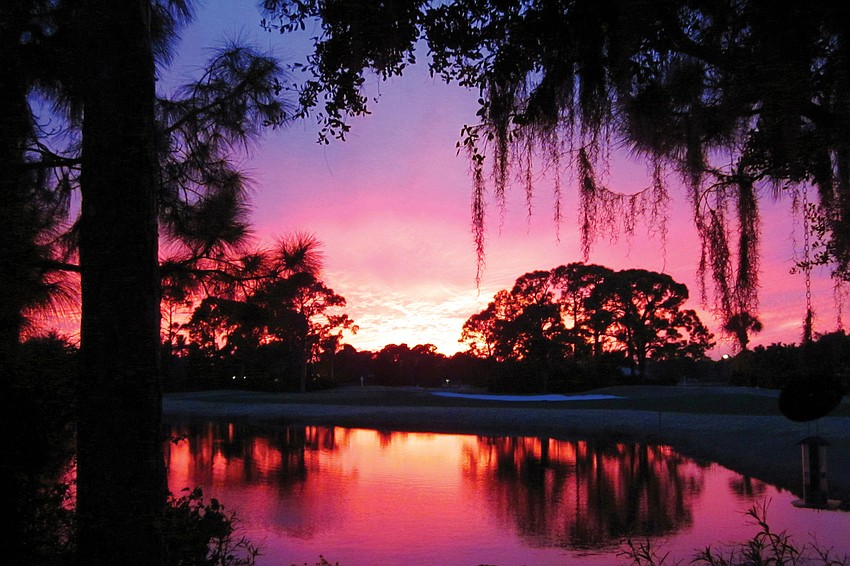 D.T. Emer, Palmer Ranch