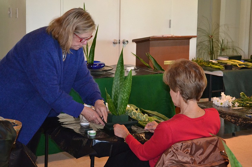 Janice Hamlin and Barbara Stafford
