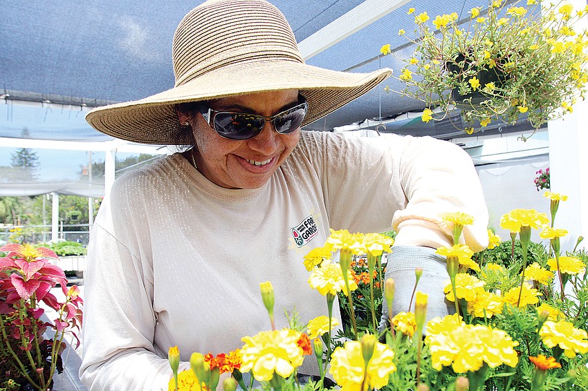 Susana Maldonado has worked at Hibbs Farm and Garden Supply for three years and has been in the gardening industry for five years. 
