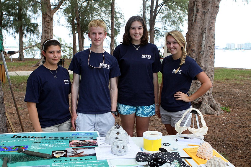 High school Mote interns Alisen Burdine, 17, Payton Hensen, 16, Sam Levell, 17, and Jordan Miller, 16, ran a table about spotted eagle rays.