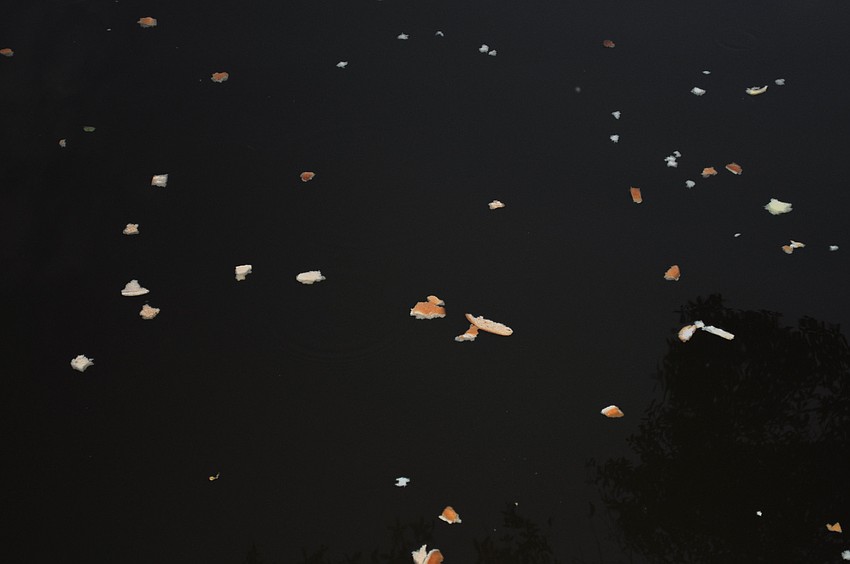 Sins cast away as bread.