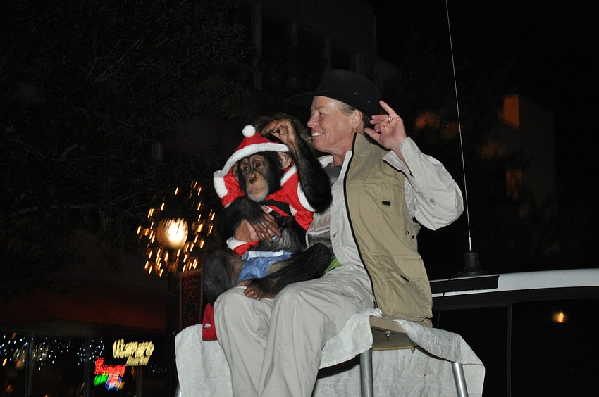 Chance the chimpanzee with Pamela Rosaire with Big Cat Habitat