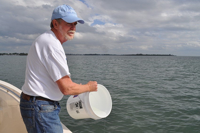 Chinnis Pours the baby scallops into the bay