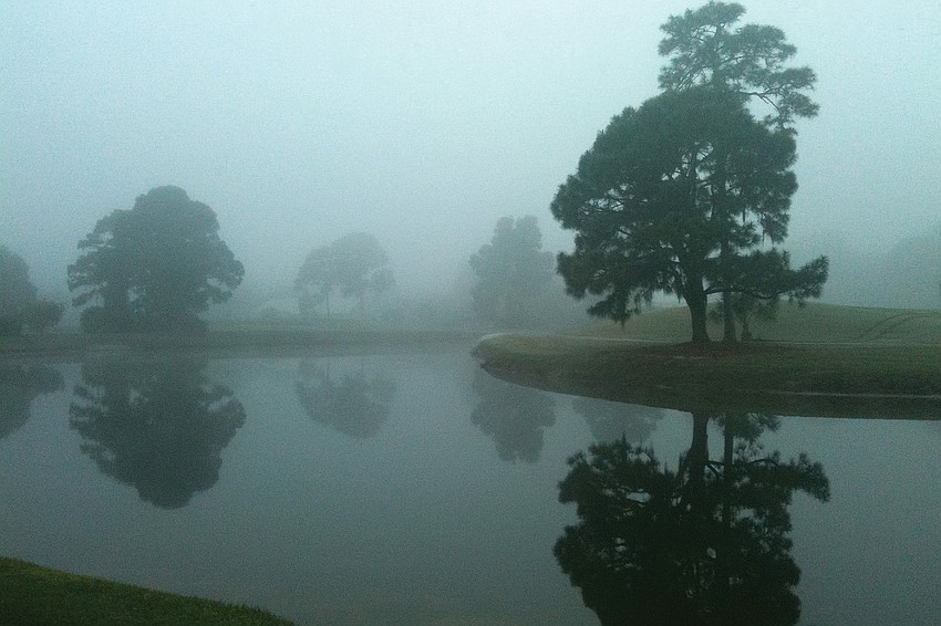 Moody Hues: Rebecca Cantrell captured this image of the early-morning fog on Links Court.