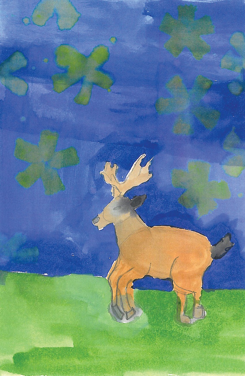 Brooke, Grade 4, Pine View School