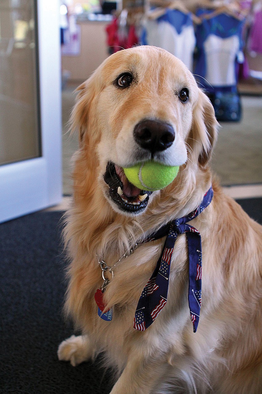 Zoe snagged a tennis ball in April at the Operation Kindness round-robin tennis fundraiser.