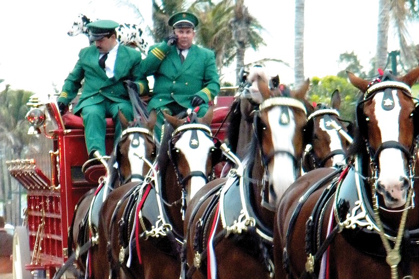 The world-famous Budweiser Clydesdales paid their annual visit to the Village Jan. 6.