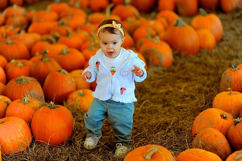 Thirteen-month-old Jenna Kelly is going to be a peppermint candy for Halloween this year.