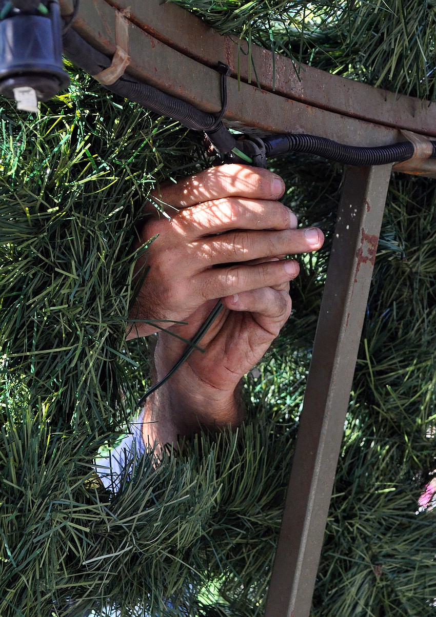 Hands come through from the outside of the tree to help connect some of the lights that go on the tree.