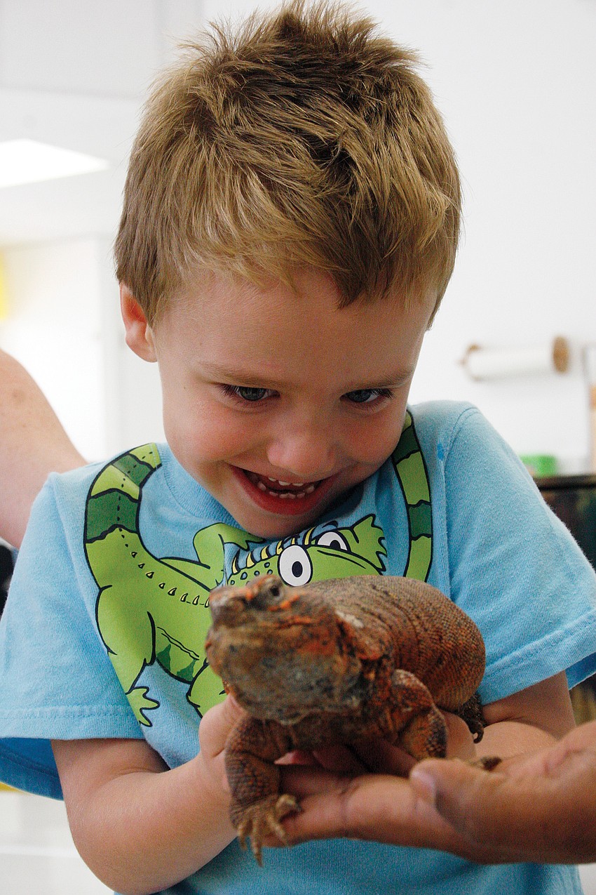Gavin Egan even wore a reptile-inspired shirt when reptiles from Sarasota Jungle Gardens slithered into the East Countyâ€™s Love Comes First Preschool March 24. Published March 31, 2011.