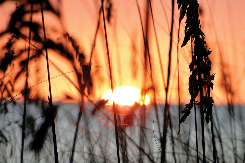 SLOWLY SINKING: Lynne Osterman captured the setting sun from a Crescent Beach vantage point.