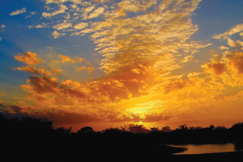 Richard Chen, Palmer Ranch