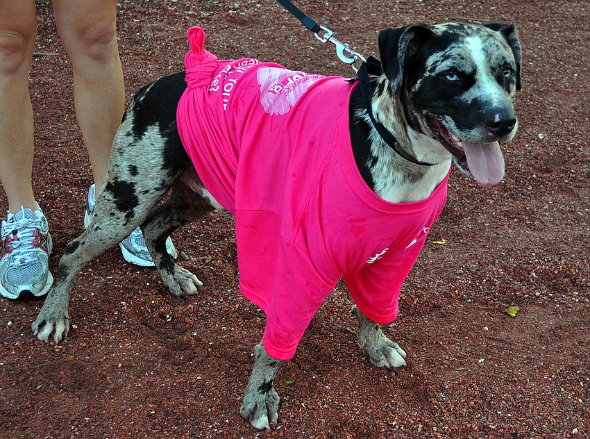 Ruger, 1 Â½, wore a matching shirt to his ownerâ€™s and her team.