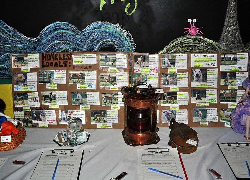 Some of the animals up that are up for adoption were put on boards around the auction tables at the 11th annual Okto-Paw-Fest at the Daiqiuri Deck on SIesta Key.
