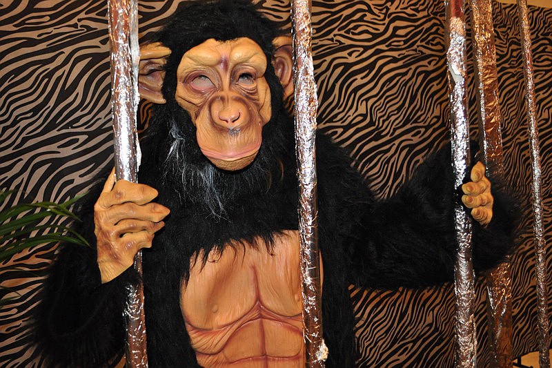 Circus-themed decor included a gorilla and clowns.