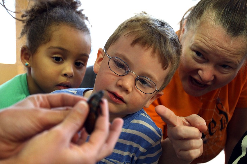 Franki Magnotti, Chance McArtor and Miss Kat get a good look at the Madagascar hissing cockroach, Tuesday, Oct. 25, at St. Boniface Preschool. â€œI love him,â€ shouted out McArtor.