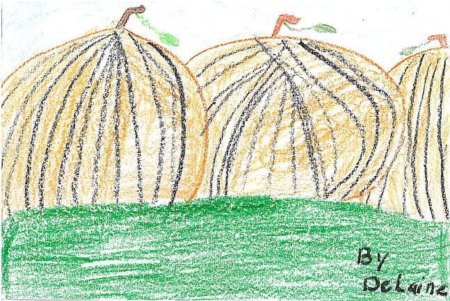 DeLaine, Grade 3, Lakeview