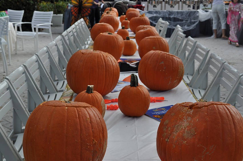 Pumpkins came pre-gutted for the children to carve.