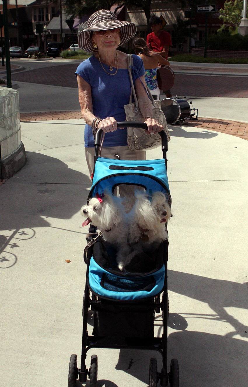 Ern Miller strolled around the art and craft festival with her dogs Precious and Muffin.