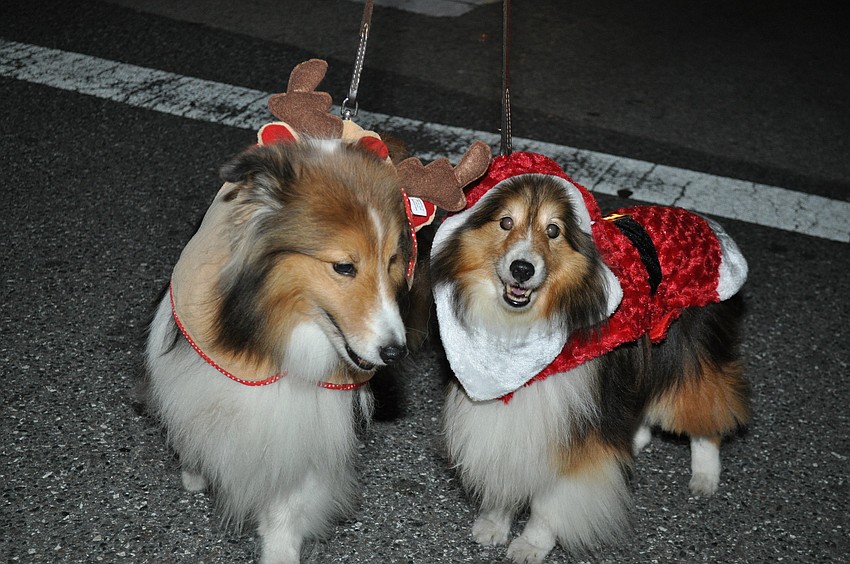 Rudolph dog Logan and Santa dog Tristen with the Humane Society of Sarasota County