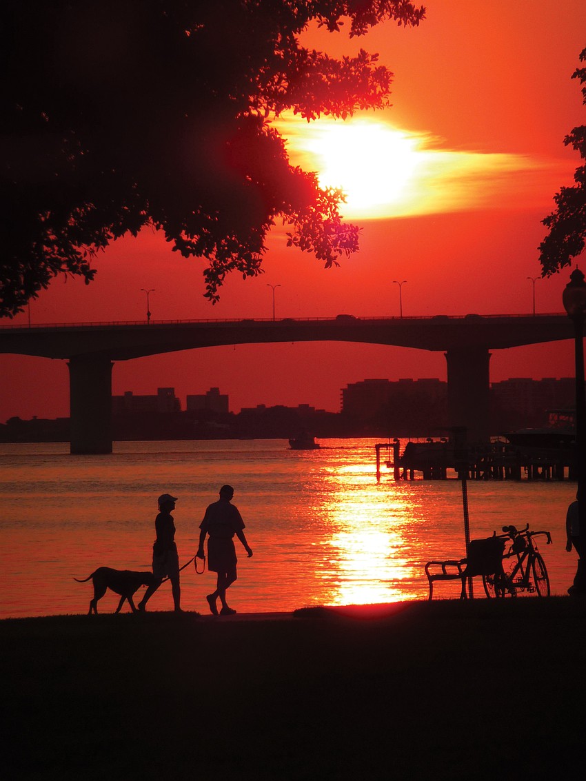Peter Monaghan, Bayfront Park