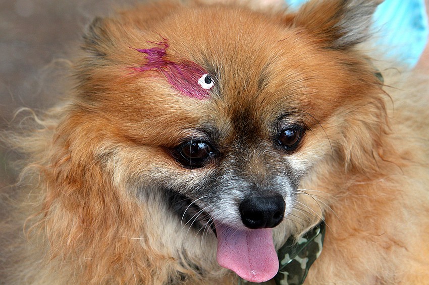 Honey Buns, 7, joined in on the face painting fun and got a fish painted on her head.