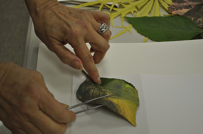 Migliore places the leaf into position on the note card.