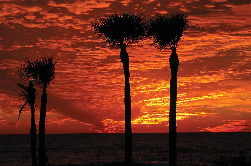 Joanne Sheehan, Beach Harbor Club