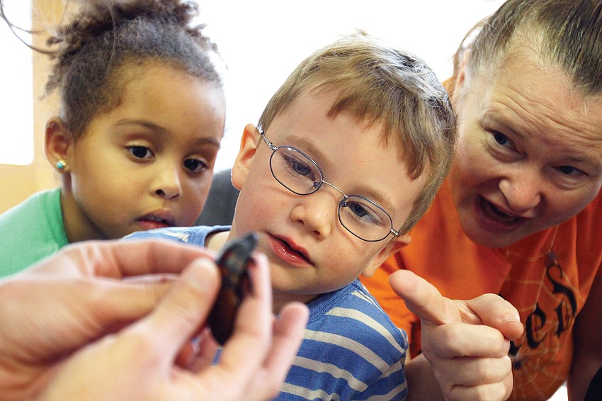 Franki Magnotti, Chance McArtor and Miss Kat enjoyed a close-up look at a Madagascar hissing cockroach, during a G.WIZ presentation at the St. Boniface Preschool.