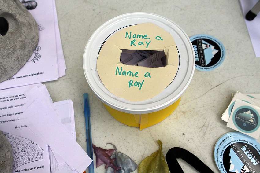 Kids and adults could fill out slips of paper with names they thought would be good for rays that were found and studied out in the wild.