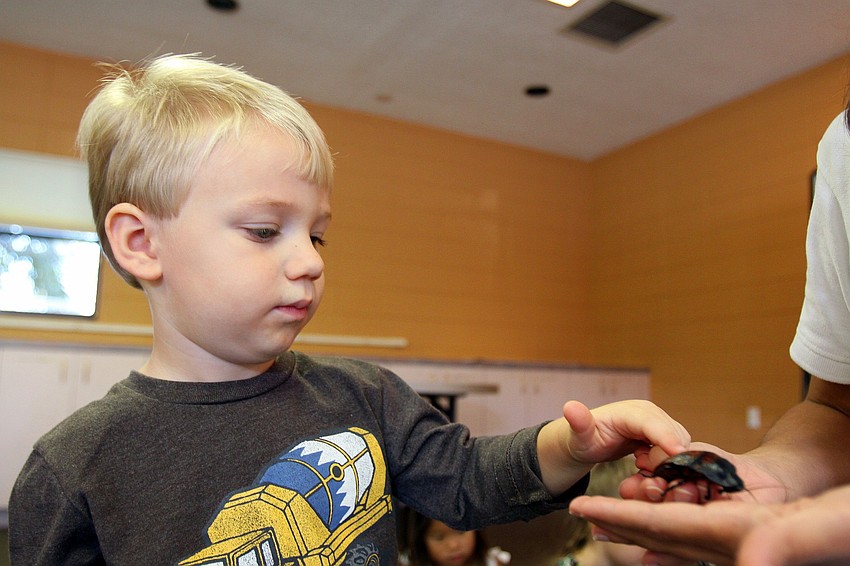 Hayne Falck pets the Madagascar hissing cockroach, Tuesday, Oct. 25, at St. Boniface Preschool.