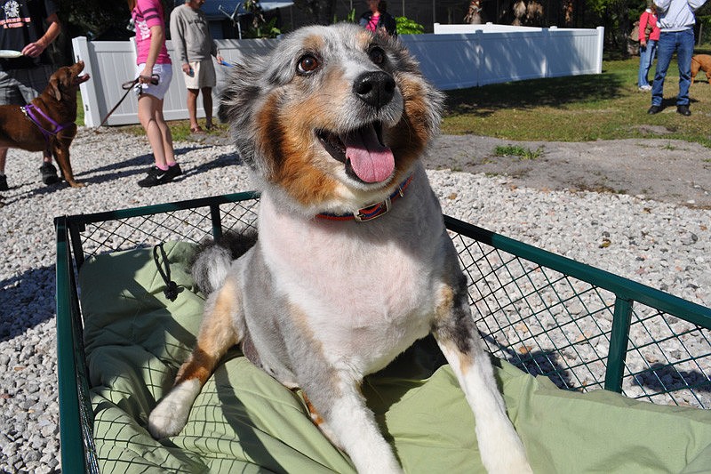 Sheldon was adopted by Don and Robin Slate.