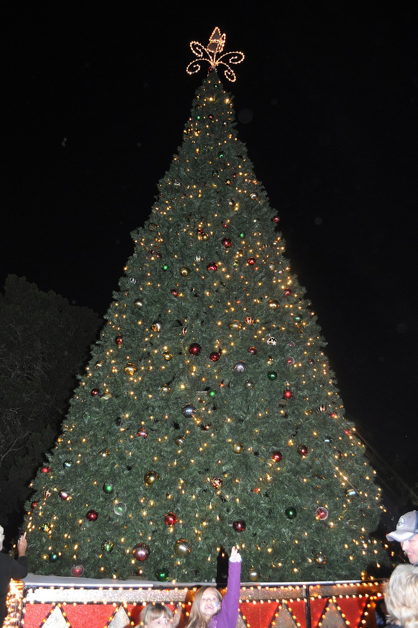 The Christmas tree lights up St. Armands Circle