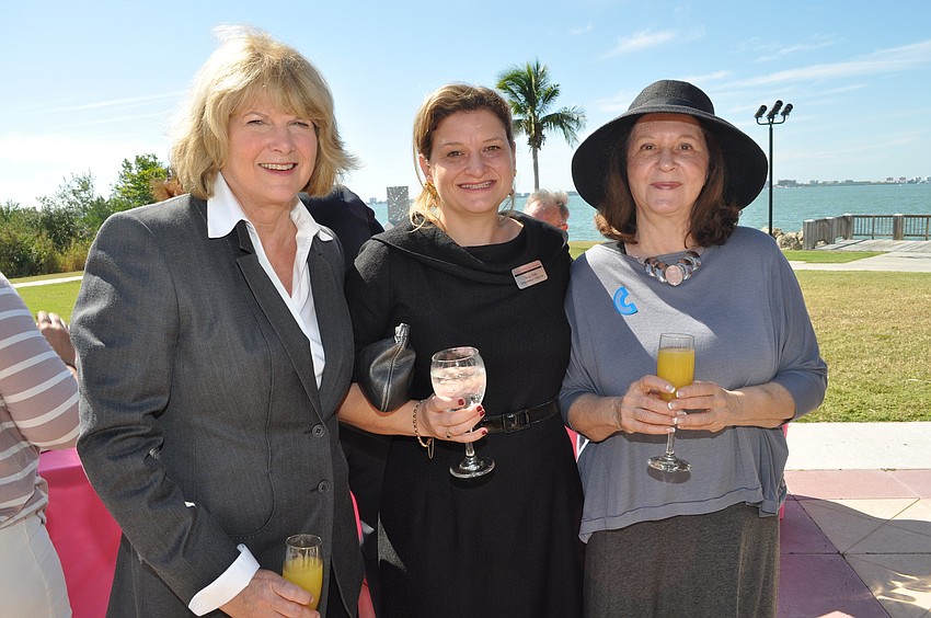 Jo Rutstein, Tricia Mire and Diana Lager