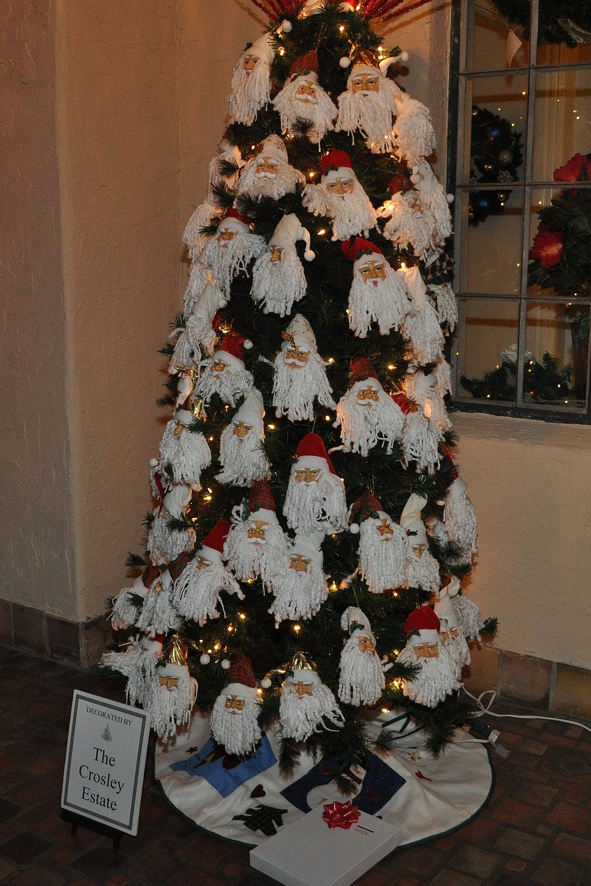 One of the trees by the Crosley Estate