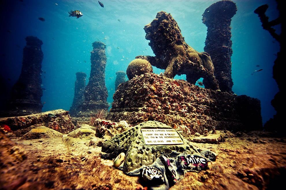 Cremated remains can now be part of a memorial reef. Courtesy photo