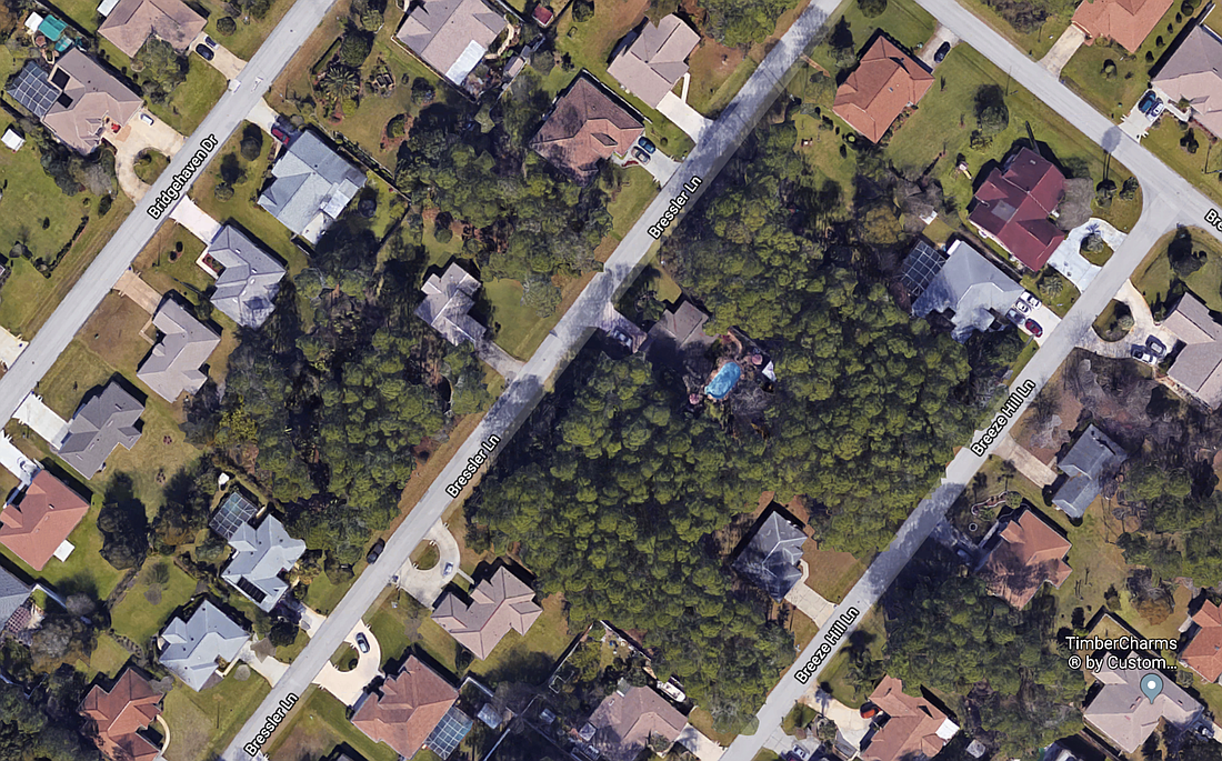 Deputies saw two teens run into the woods near Bressler Lane. (Image from Google Maps)