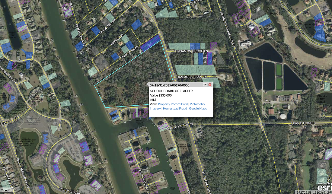 The parcel location. (Image from the Flagler County Property Appraiser's Office website)