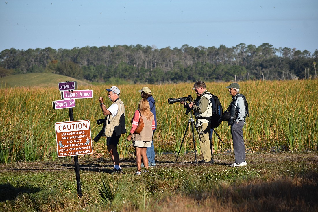 Photographers who wanted to learn more about photographing birds trekked to Orlando Wetlands Park for a day-long trip with guide Paul Rebmann, a birder and photographer, as part of the Birds of a Feather Fest. Courtesy photo
