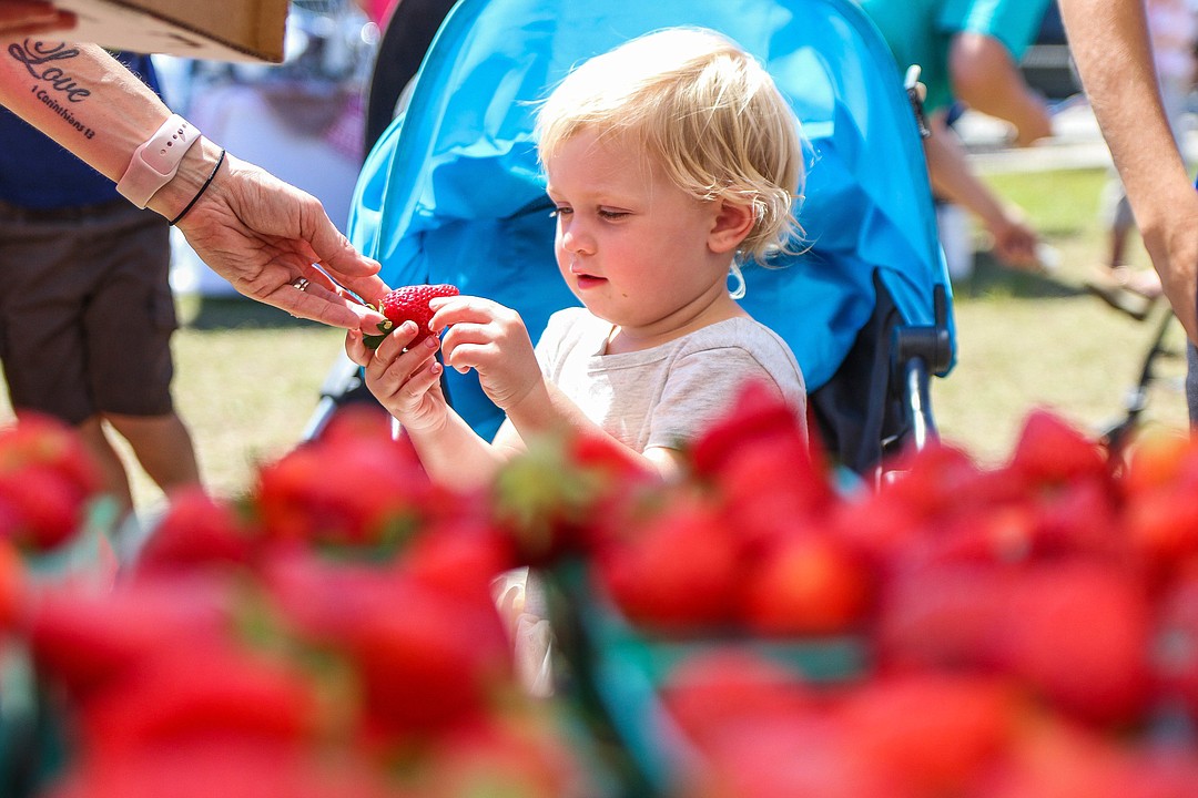 Fresh berries and fun at the Palm Coast Strawberry Festival Observer