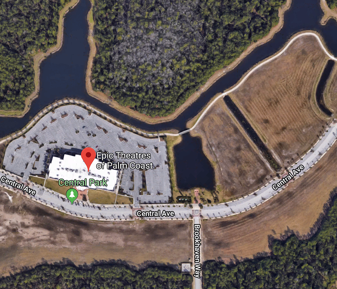 Two hundred and thirty-three apartments will be built on a 7.8-acre lot east of Epic Theatres of Palm Coast. Image courtesy of Google Maps