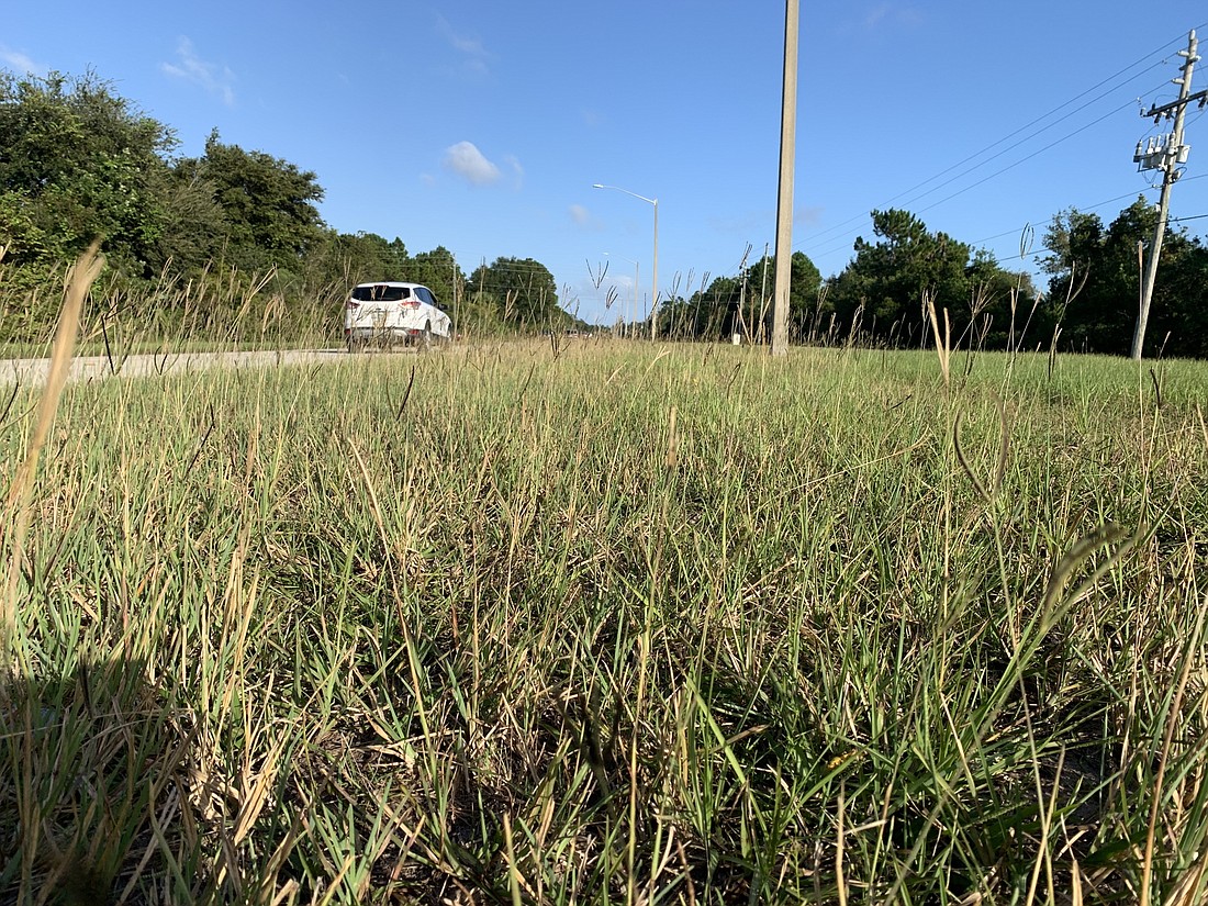 Neighborhood rights of way are mowed every four to six weeks. That leaves the grass looking like this most of the time. Meanwhile, swales of vacant land owners are also mowed about every four to six weeks. Photo by Brian McMillan