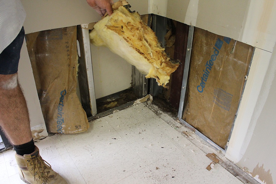 Water damage and mold in the Sears building. Photo courtesy of the Flagler County government
