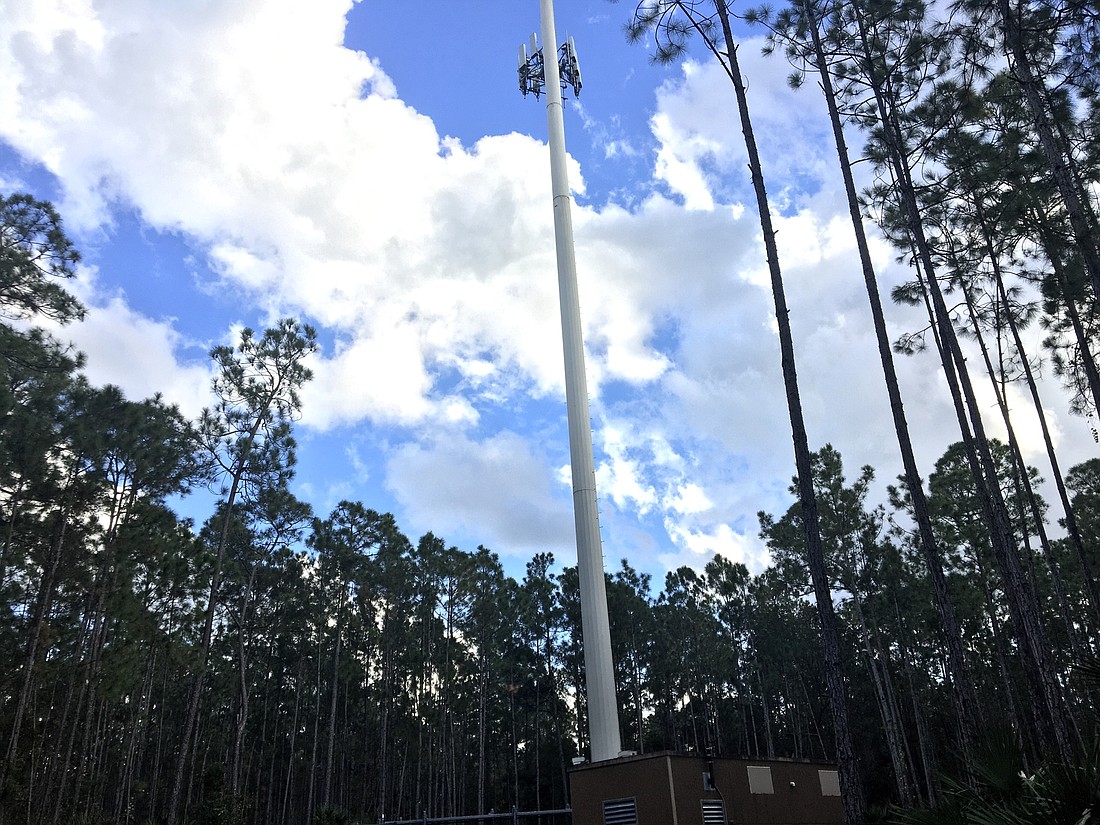The new cell site off Belle Terre Parkway. Photo by Joey Pellegrino