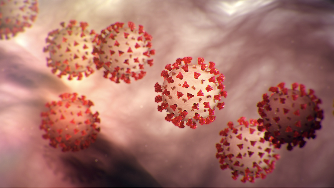 The COVID-19 coronavirus. Image courtesy of the Centers for Disease Control.