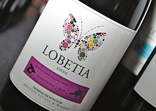 Lobetia syrah