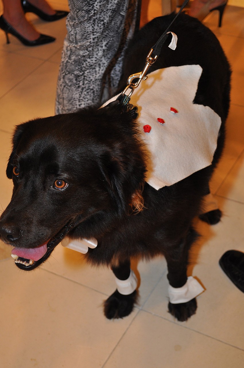 Kumba wore a tux to the event.