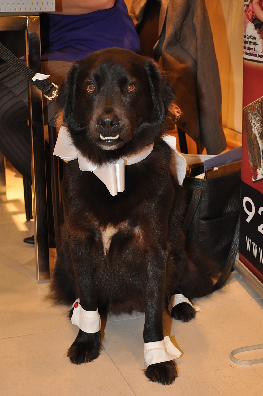 Kumba wore a tux to the event.