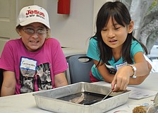Cassandra Bradley is prodded by Alanna Allion to touch the squid they were dissecting as part of Mote's Home School Day on Wednesday, Jan. 12.