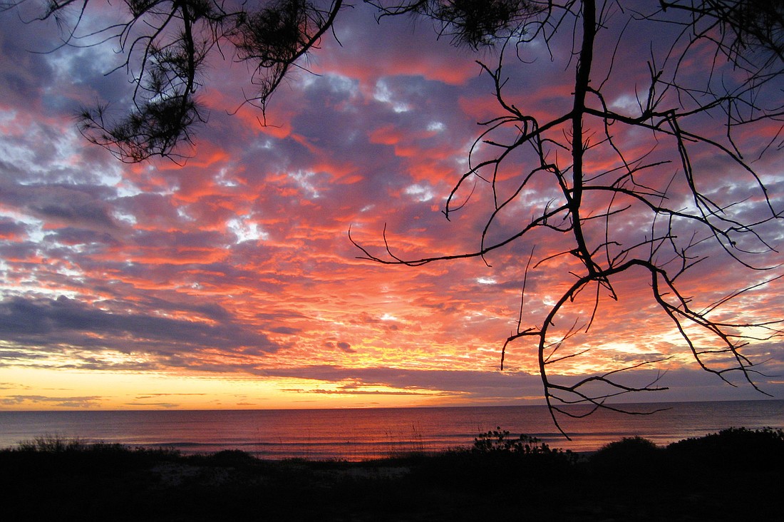 Ken Lang submitted this sunset photo, taken near Buttonwood Cove on Longboat Key.